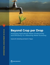  Beyond crop per drop
