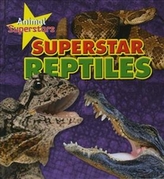  Reptile Superstars
