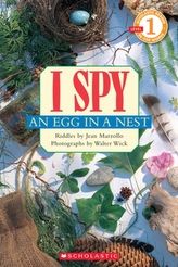  Scholastic Reader Level 1: I Spy an Egg in a Nest