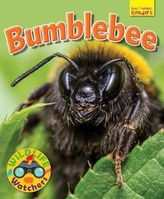  Wildlife Watchers: Bumblebee