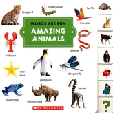  AMAZING ANIMALS