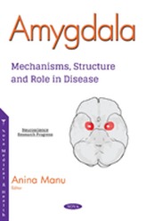  Amygdala