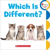  WHICH IS DIFFERENT
