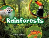  Rainforests