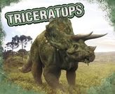  Triceratops