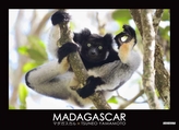  Madagascar