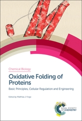  Oxidative Folding of Proteins