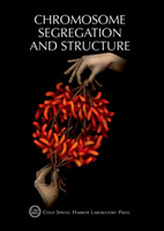  Chromosome Segregation & Structure