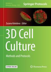  3D Cell Culture