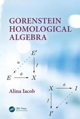  Gorenstein Homological Algebra