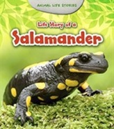  Life Story of a Salamander