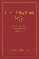  How to Enjoy Death