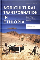  Agricultural Transformation in Ethiopia