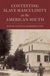  Cambridge Studies on the American South
