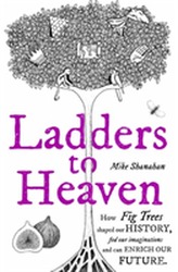  Ladders to Heaven
