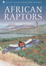  African Raptors