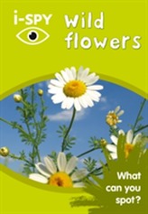  i-SPY Wild Flowers