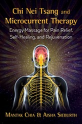  Chi Nei Tsang and Microcurrent Therapy