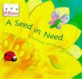  Mybees: A Seed In Need