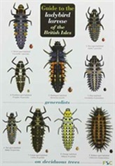  Guide to the Ladybird Larvae of the British Isles