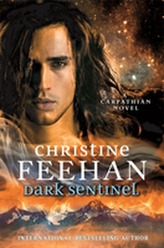  Dark Sentinel
