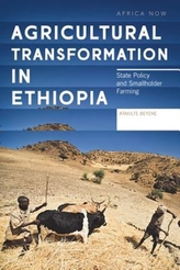  Agricultural Transformation in Ethiopia