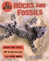  In Focus: Rocks and Fossils