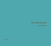  What Still Remains