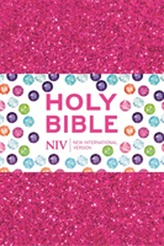  NIV Ruby Pocket Bible