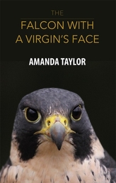 The Falcon with a Virgin's Face