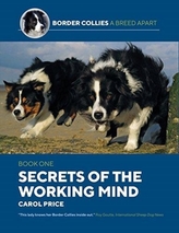  Secrets Of The Working Mind