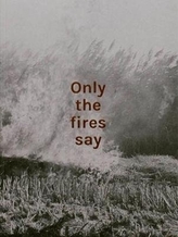  Only the fires say