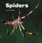 Spiders