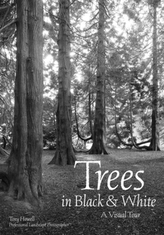  Trees In Black & White
