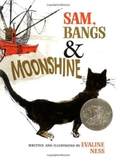  SAM BANGS & MOONSHINE