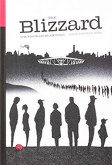  BLIZZARD 29