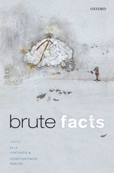  Brute Facts