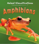  Animal Classification Pack A of 3