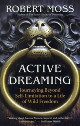  Active Dreaming