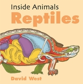  Inside Animals: Reptiles