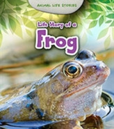  Life Story of a Frog