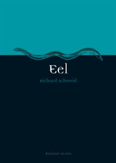  Eel
