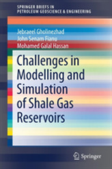  Challenges in Modelling and Simulation of Shale Gas Reservoirs