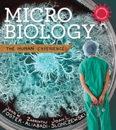  Microbiology