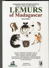  Lemurs of Madagascar