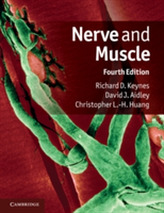  Nerve and Muscle
