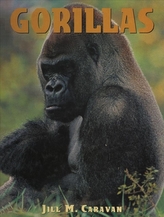  Gorillas