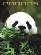 Pandas