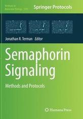  Semaphorin Signaling