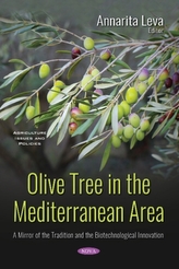  Olive Tree in the Mediterranean Area